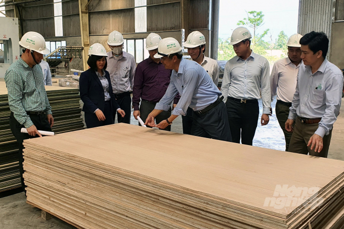 z3453743717029_113a9bc150e79b156348a47abecc0637-152617_436.jpg Rừng FSC là một trong những tiêu chí giúp các sản phẩm từ gỗ xuất khẩu sang những thị trường khó tính. Ảnh: VD.