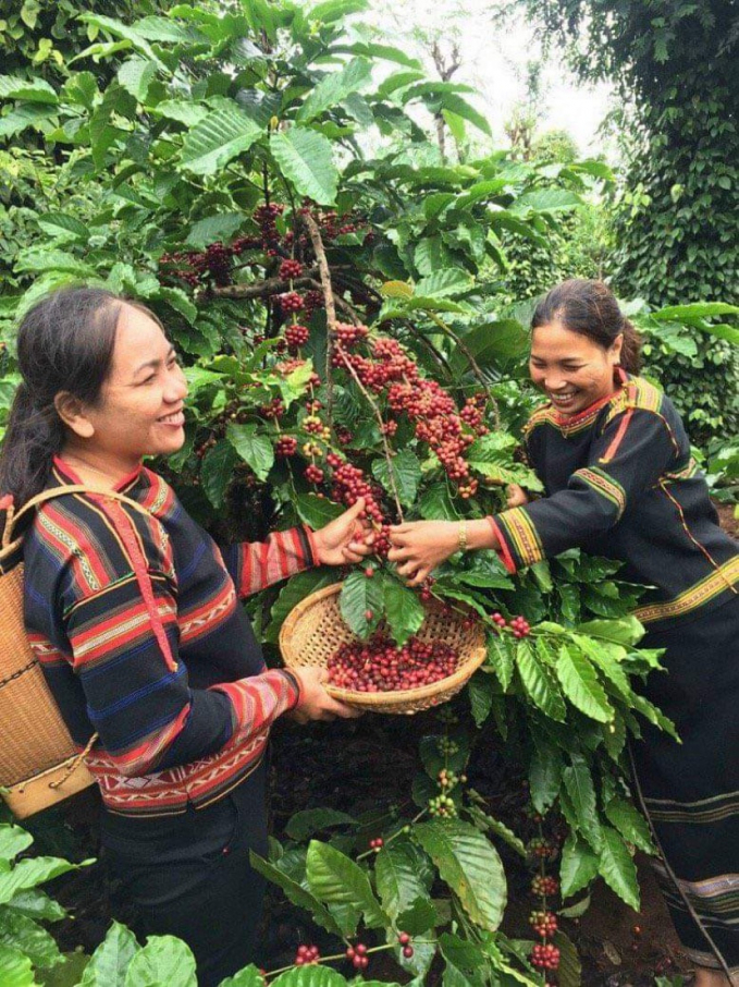 5-trieu-euro-cho-quan-ly-canh-quan-ben-vung-toan-dien-tai-tay-nguyen-203931_574.jpeg Quản lý cảnh quan bền vững toàn diện thông qua cách tiếp cận địa bàn phát triển bền vững không gây mất rừng tại Lâm Đồng và Đăk Nông.