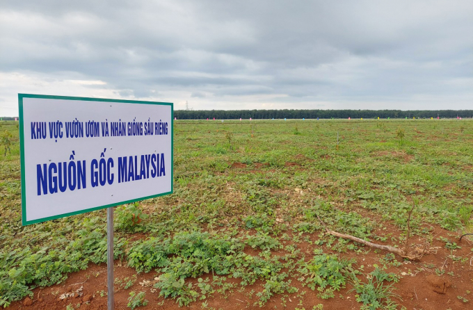 Dự án sẽ là nơi cung cấp cây giống, con giống chất lượng cao của vùng Tây Nguyên. Ảnh: Quang Yên.