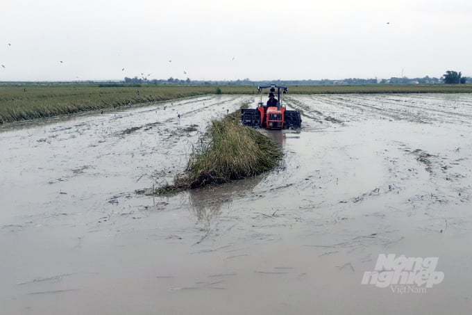 z3352207897593_57e7878eace9b9c1326e1052c48bf5b4-173857_180.jpg Việc xử lý đồng ruộng sau lũ trái vụ mất nhiều thời gian, nguồn giống hỗ trợ về muộn là một trong những nguyên nhân khiến vụ hè thu tại Quảng Trị chậm tiến độ. Ảnh: Võ Dũng.