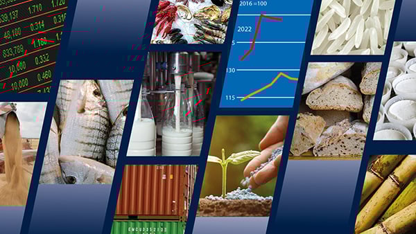 Food Outlook. Photo: FAO