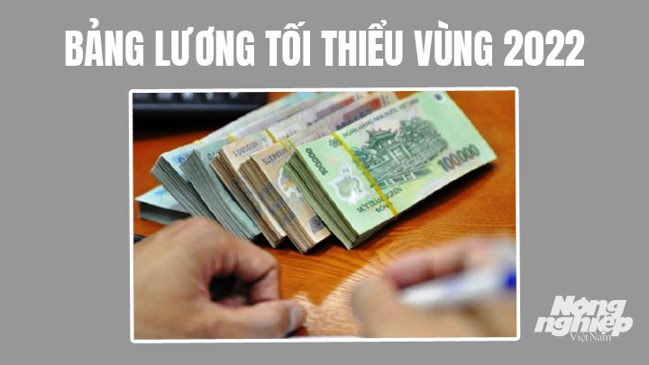 bang-luong-toi-thieu-vung-nam-2022-152620_869.jpg chi tiết bảng mức lương tối thiểu vùng năm 2022 tại 63 tỉnh thành mới và đầy đủ nhất