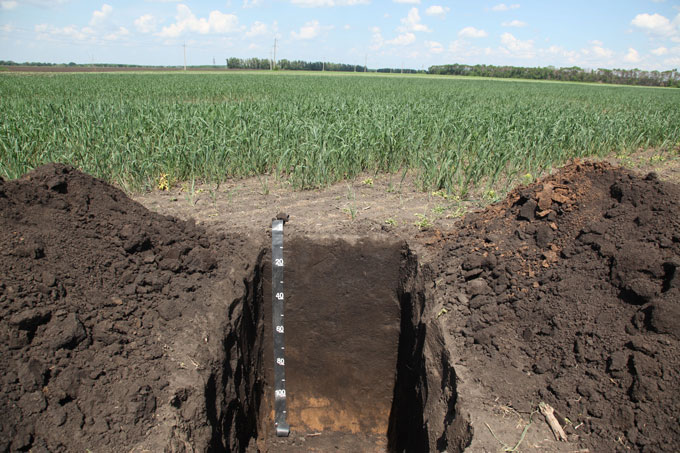 060122_bd_ukraine-soil_inline1-210044_405.jpg Đất chernozem hay còn gọi là hoàng thổ, hoặc siêu đất, vốn rất giàu chất dinh dưỡng ở Ukraine đang bị ảnh hưởng xấu bởi chiến tranh. Ảnh: SOIL MUSEUM/SOIL EDUCATION CENTER/UNIVERSITY OF AGRICULTURE IN KRAKÓW