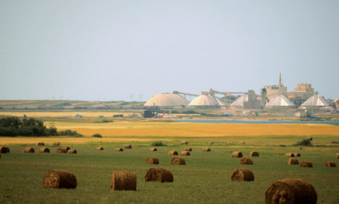 Nutrien says it expects high natural gas prices and sanctions on Russia to push more fertilizer production to North America.
