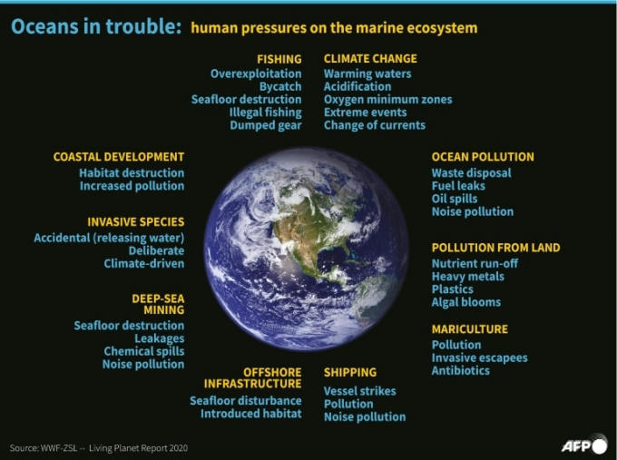 Oceans in trouble. Photo: AFP/Emmanuelle Michel