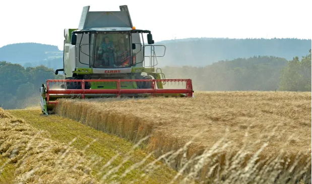 Techniques such as adding manure and compost to soils would be enough to replace a substantial proportion of chemical fertiliser, the study says. Photo: Owen Humphreys