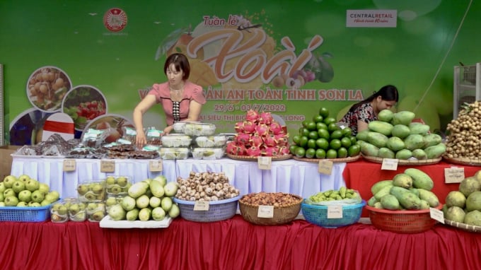 Tuần lễ xoài và nông sản an toàn tỉnh Sơn La tại Hà Nội năm 2022 có 15 doanh nghiệp, hợp tác xã tham gia với 24 gian hàng. Ảnh: Thanh Thủy.