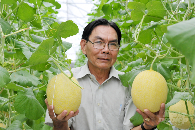Investment in organic agriculture, although initially labor intensive and more expensive compared to conventional production, brings long-term benefits. Photo: Ngoc Thang.