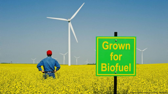  The change in farming practices has been increasing greenhouse gas emissions through a phenomenon known as indirect land use change. Photo: DW