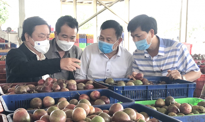 Minister Le Minh Hoan visiting a passion fruit processing factory belonging to Doveco Company in Gia Lai.