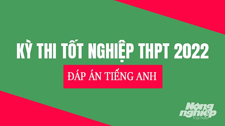 dap-an-tieng-anh-tot-nghiep-thpt-2022-131541_706.jpg Chi tiết đáp án môn Anh tại kỳ thi Tốt nghiệp THPT Quốc gia năm 2022