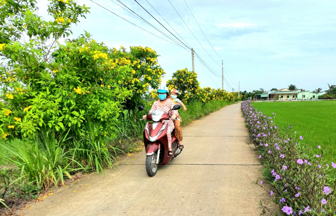 Đường hoa tại ấp Thanh Hiệp, xã Thanh Phú, Bến Lức, tỉnh Long An. Ảnh: Minh Đảm.