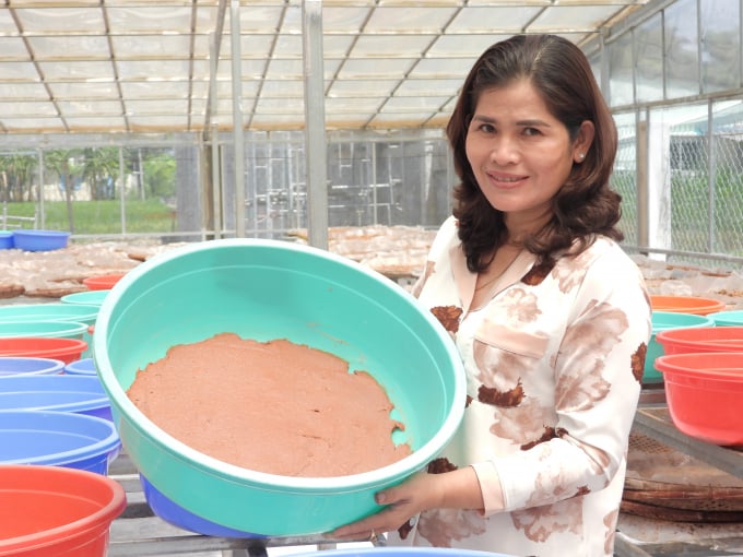 Chị Hai Diễm bên sản phẩm mắm tôm chà đã qua các công đoạn sơ chế, chỉ cần đủ nắng là đóng hộp, đưa đến tay người tiêu dùng. Ảnh: Trần Trung.