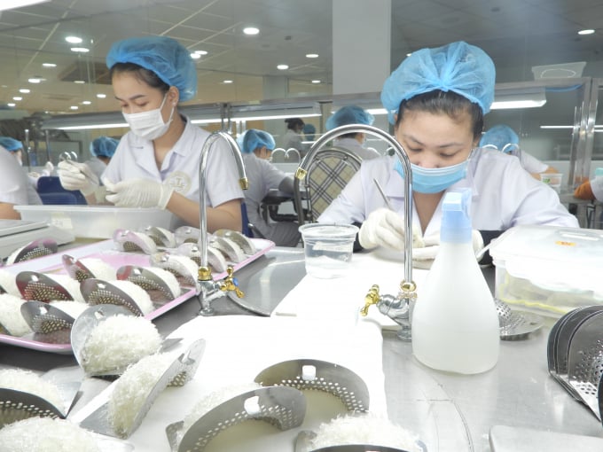 Các mô hình không chỉ nâng cao giá trị ngành nông nghiệp, mà còn giải quyết vấn đề việc làm cho số lượng lớn người lao động tại địa phương. Ảnh: Trần Trung.