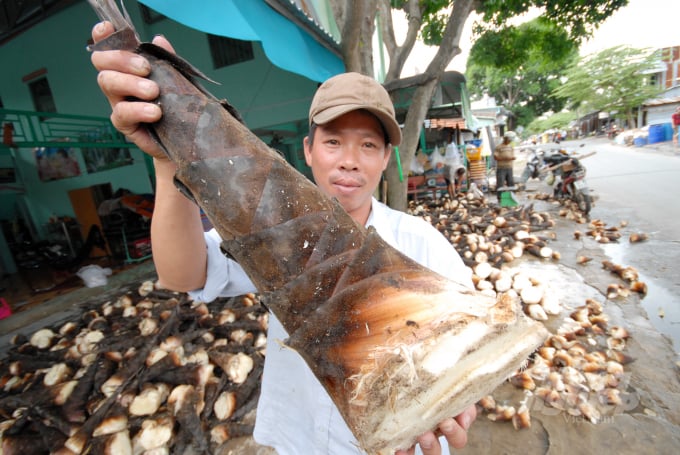 0123lhv-1-160116_118.jpg Tre Mạnh Tông hiện có giá 12.000 đồng/kg. Ảnh: Lê Hoàng Vũ.