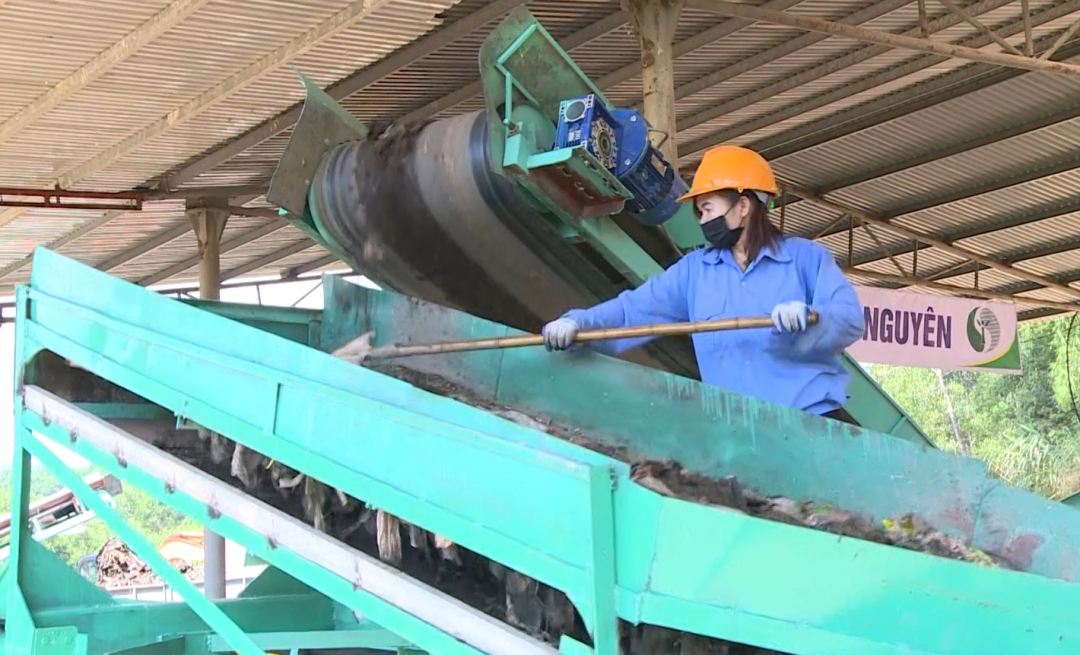 70% lượng rác ở nước ta đang xử lý theo hướng chôn lấp.
