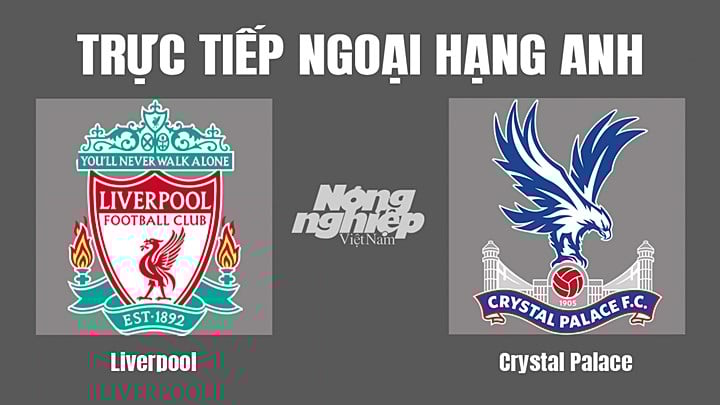 truc-tiep-bong-da-liverpool-vs-crystal-palace-16-8-172234_15.jpg Trực tiếp bóng đá Ngoại hạng Anh giữa Liverpool vs Crystal Palace hôm nay 16/8/2022