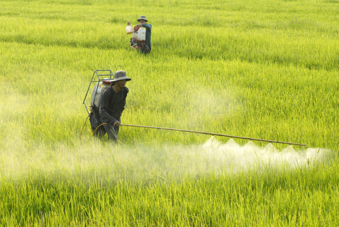 Trong điều kiện thời tiết khắc nghiệt, giá vật tư nông nghiệp tăng cao, người trồng lúa cần thay đổi ' nếp nghĩ, cách làm', đặt biệt là trong sử dụng phân bón và thuốc BVTV phải thông minh. Ảnh: Lê Hoàng Vũ.