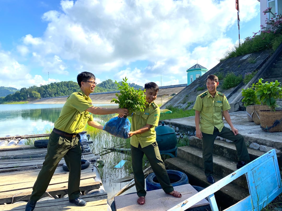 gaia_1_3-102302_648.jpg Cán bộ Vườn Quốc gia Bến En vận chuyển cây giống từ cano lên địa điểm trồng rừng.