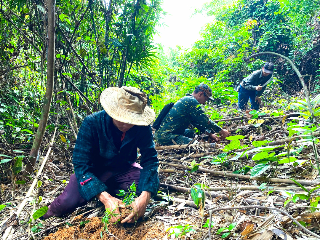 Người dân địa phương cùng nhau trồng cây.