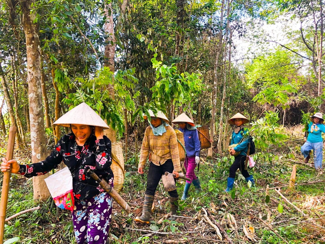 Gùi cây đến điểm trồng rừng Xuân Liên.
