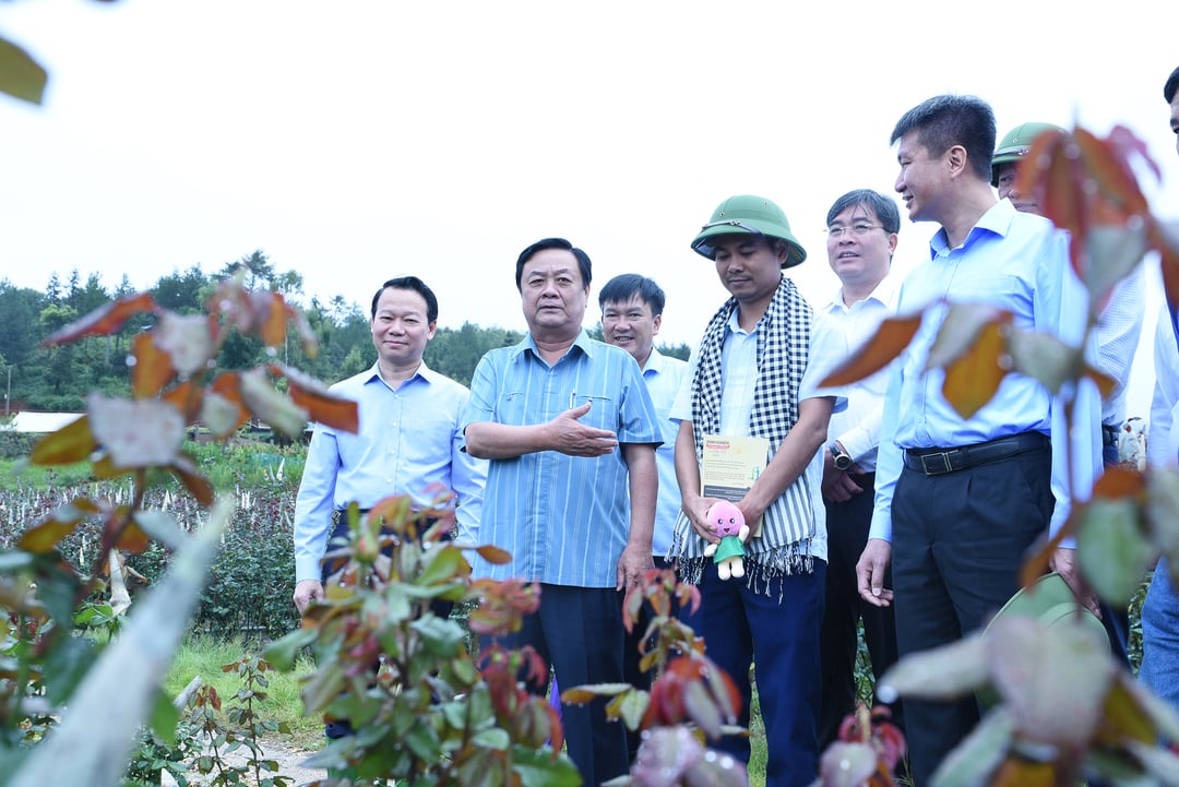 Mọi hoạt động sản xuất, kinh doanh, du lịch, dịch vụ trong nông nghiệp, trước hết, cần xoay quanh đồng bào dân tộc thiểu số.