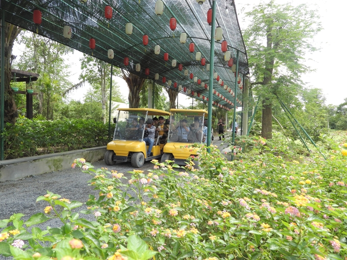 anh-4-153259_235.jpg Du khách sử dụng xe điện để tham qua các khu vườn tại Chavi Garden.