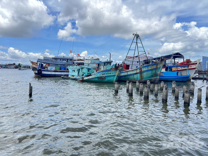 z3471504094578_1faf9f5ab7417326ce48f81a560c8d02-112754_181.jpg Tỉnh Cà Mau chỉ đạo tăng cường công tác tuyên truyền, phổ biến các quy định của pháp luật về thủy sản. Ảnh: Trọng Linh.