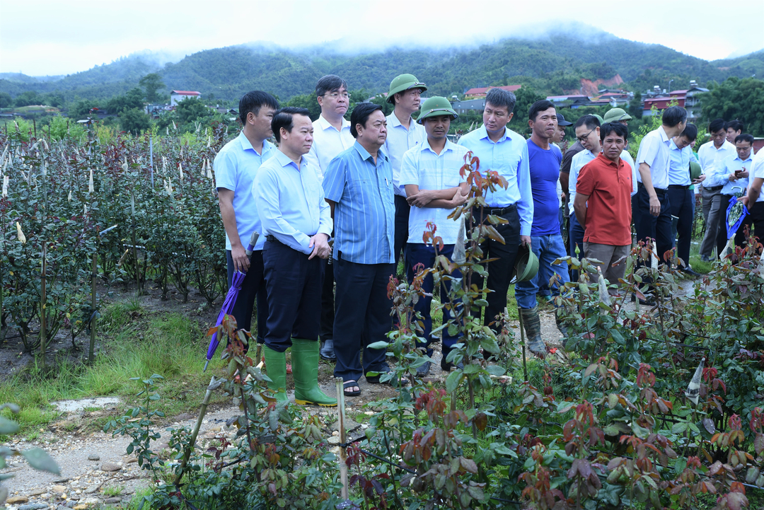 co-mot-yen-bai-xanh-hai-hoa-ban-sac-va-hanh-phuc-131751_399.jpg