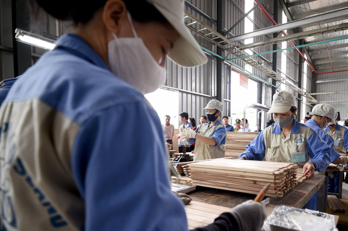 Statistics have shown that agricultural exports in the first 8 months of 2022 have increased significantly with the trade surplus increasing by 94.6% over the same period in 2021. Photo: Tung Dinh.