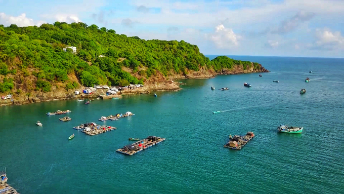 Kien Giang province is a locality with strengths in aquaculture combined with tourism. The Netherlands’ experts identify the region as one of the 12 focal centers of agricultural products in the Mekong Delta. Photo: Kim Anh.