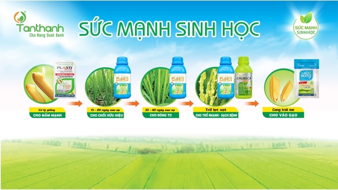 41cfa2ba7bacbff2e6bd-091543_849.jpg Sản phẩm sinh học với đặc tính chiết xuất từ thiên nhiên nên đảm bảo an toàn cho sức khỏe người sử dụng. Ảnh: Đỗ Thanh Tuyền.