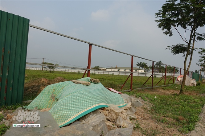 ha-noi-2-150810_648.jpg Loạt dự án đắp chiếu bị xử lý ở Hà Nội. Ảnh: Hoàng Anh.