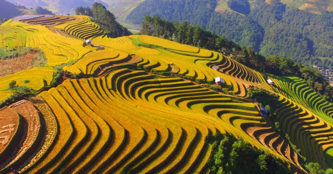 viet-tiep-cau-chuyen-vung-cao-165536_921.jpeg