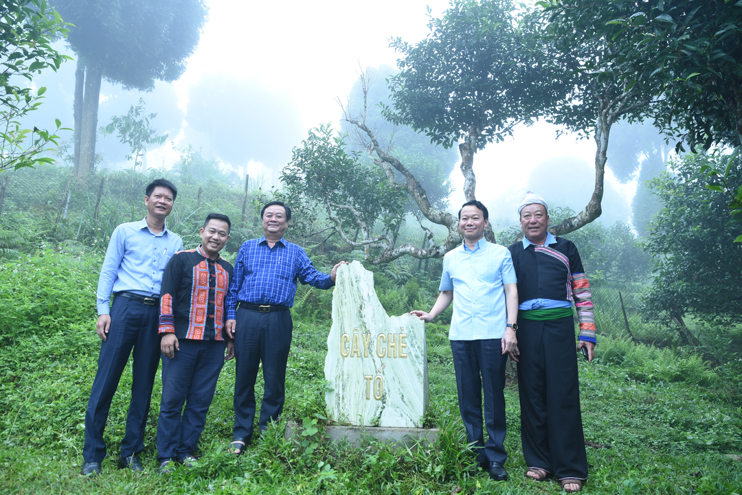 viet-tiep-cau-chuyen-vung-cao-190706_913.jpg