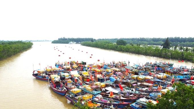 a-1-212852_158.jpg Các phương tiện tàu thuyền neo đậu tại âu thuyền, phường Quảng Tiến, TP. Sầm Sơn.