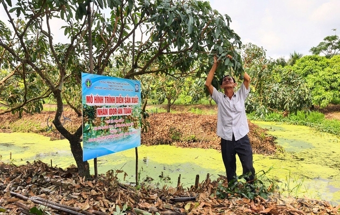 Những sản phẩm đảm bảo an toàn, có truy xuất nguồn gốc sẽ thuận lợi trong việc kết nối tiêu thụ. Ảnh: Kim Anh.