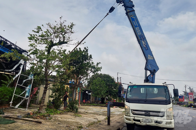 Lực lượng chức năng thu dọn và dựng lại cây gãy đổ bên đường. Ảnh: Võ Dũng.
