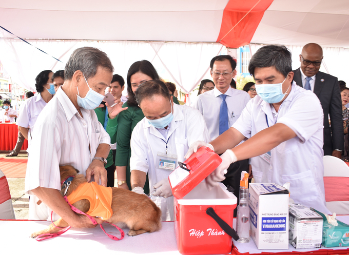 Tiêm phòng vắc xin phòng bệnh dại trên chó. Ảnh: Minh Đảm.