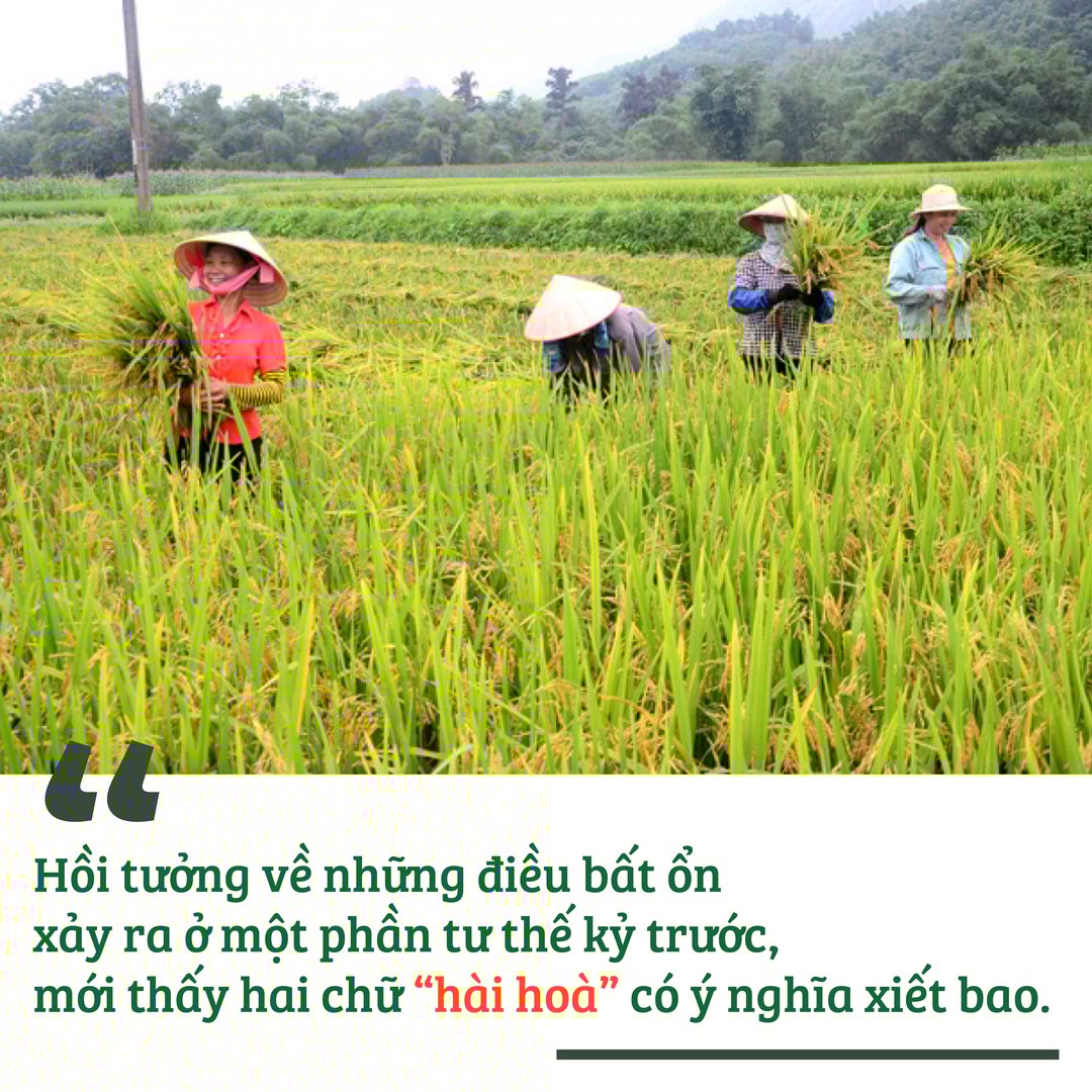 mot-thoang-que-huong-nam-tan-174105_302.jpg