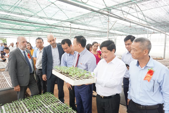 Standardized production will produce good varieties and non-toxic processes which minimize pesticide residues in products.