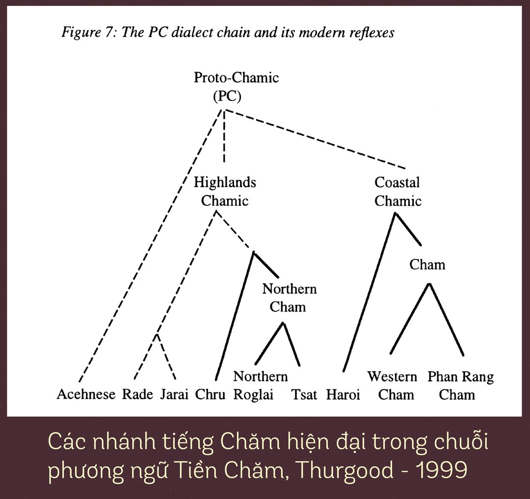 anh3-01-160615_413.jpg