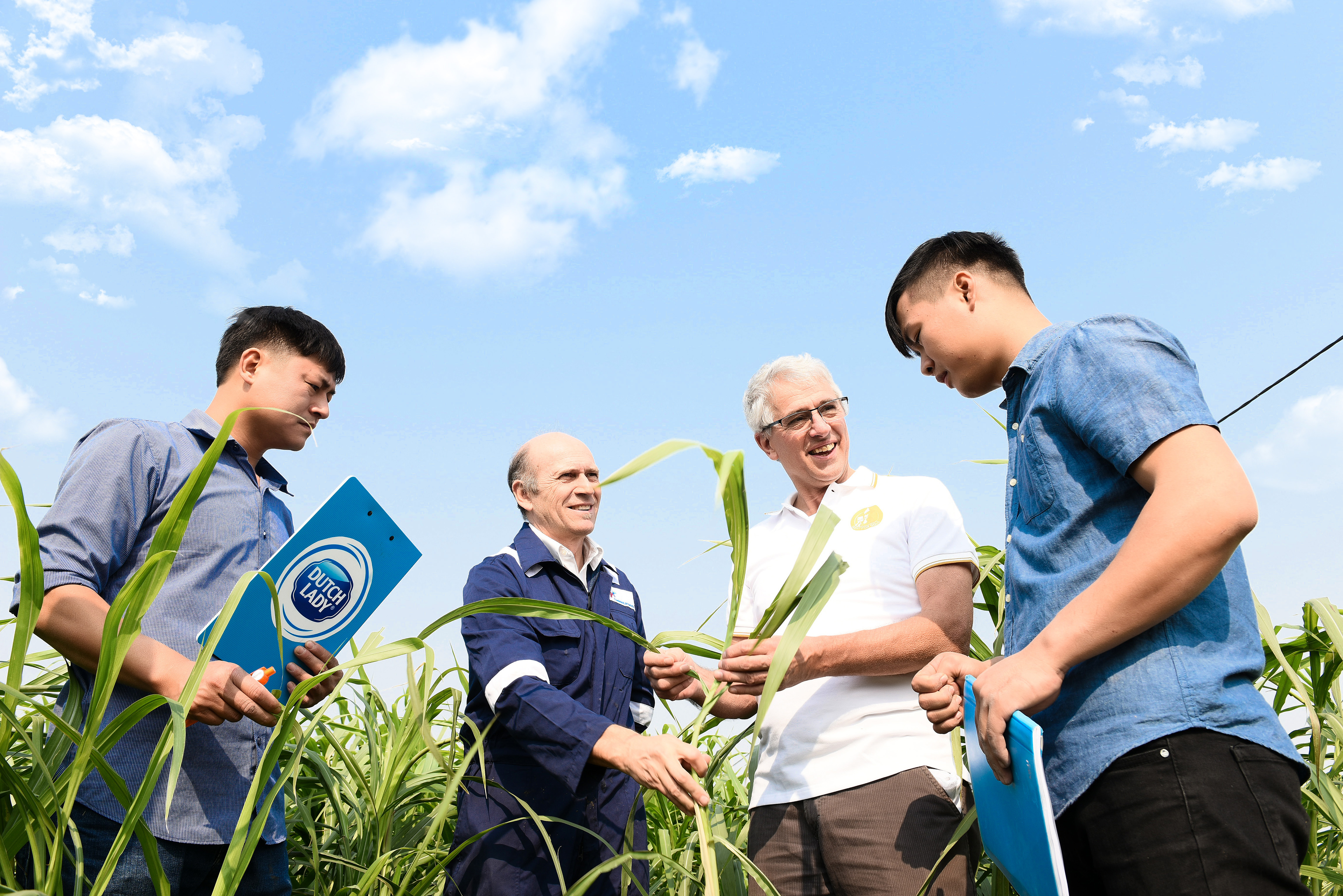 Các kỹ sư FCV trao đổi kinh nghiệm làm việc.