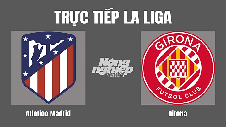 Trực tiếp bóng đá La Liga 2022/23 giữa Atletico Madrid vs Girona hôm nay 8/10/2022