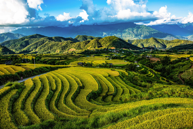 Có dịp đến đây, du khách sẽ choáng ngợp trong sắc vàng của những cung ruộng bậc thang chạy dài tít tắp. Chiều buông, trong cái sắc ruộm vàng ấy, những mái nhà người Mông, Thái, Dao… đẹp hơn bao giờ hết khi khói bếp lên quyện vào mây núi.