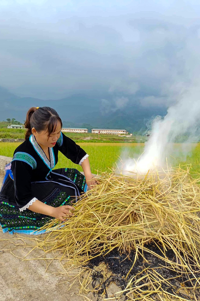 Rơm được đốt làm tro bón ruộng cho vụ sau.