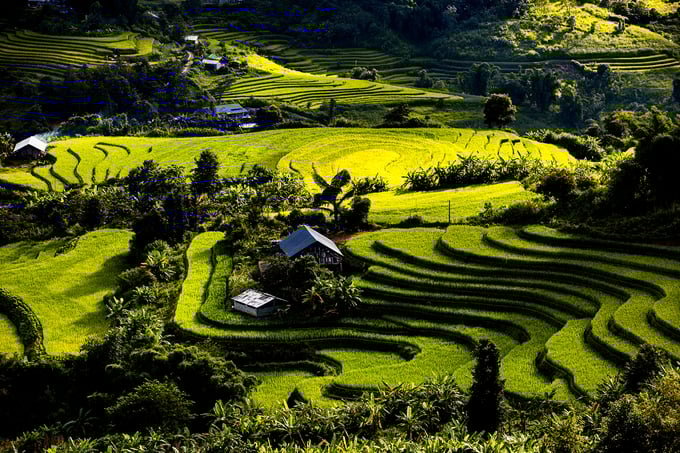 Từ trên cao nhìn xuống, lúp xúp những mái nhà nương tỏa khói báo hiệu chiều về. Một bức tranh 'Mùa vàng' nơi rẻo cao Tây Bắc thật đẹp và bình yên.