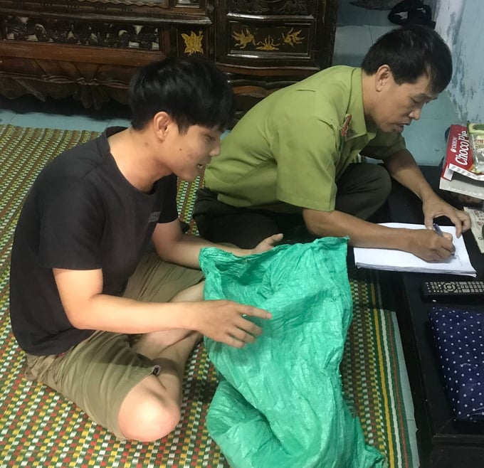 Cán bộ kiểm lâm Thành phố Huế tiếp nhận cá thể tê tê Java do người dân giao nộp. Ảnh: KLH.