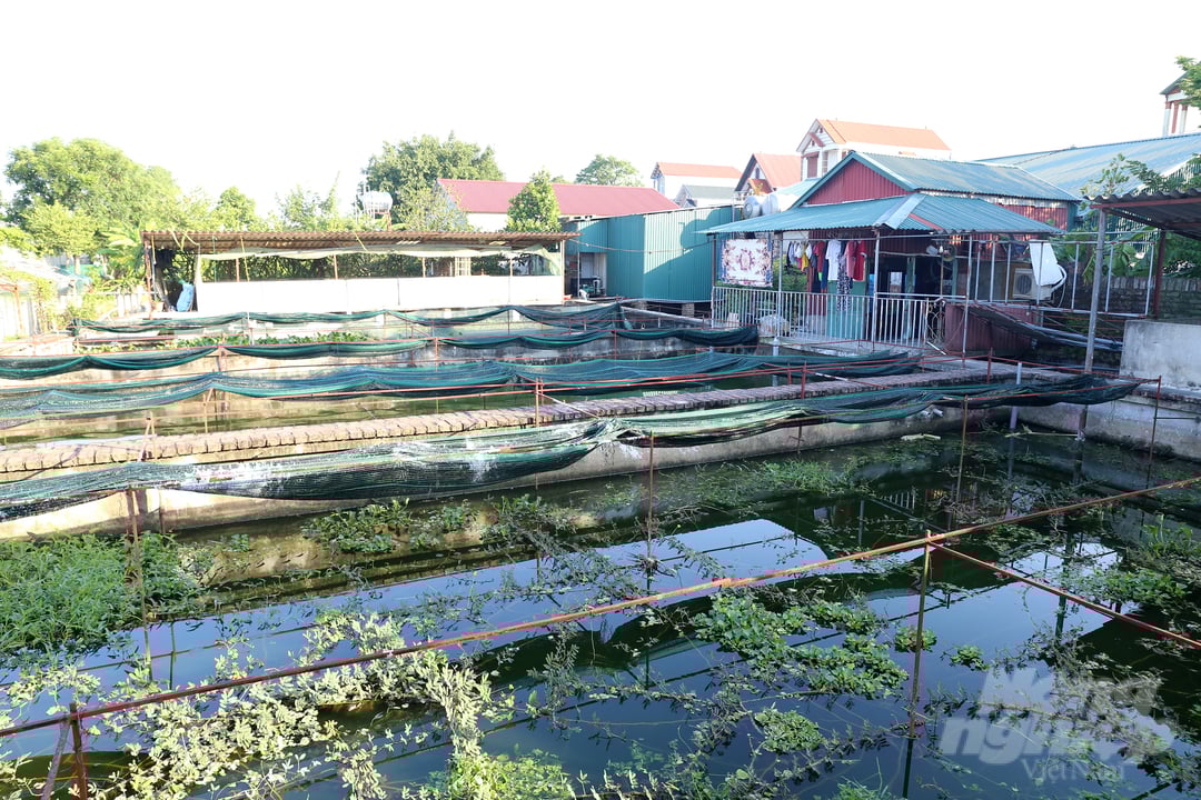 1-125746_807.jpg