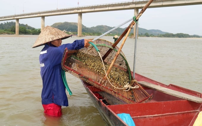 Nghề cào hến trên sông Lam. Ảnh: Huy Thư.